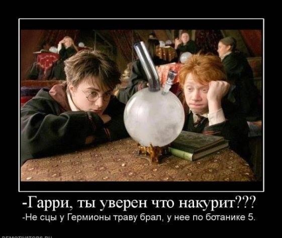 -Harry, are you sure he’ll smoke??? - I didn’t take the grass from Hermione, she got a 5 in botany.