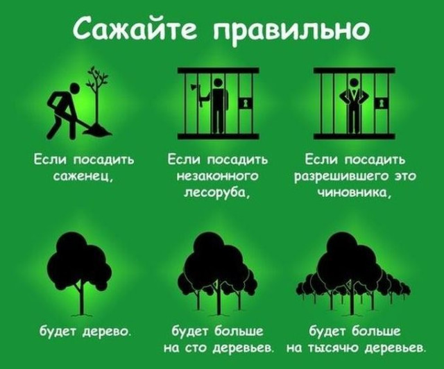 richtig pflanzen! Wenn man einen Schössling pflanzt, entsteht ein Baum. Wenn man einen illegalen Holzfäller pflanzt, gibt es hundert weitere Bäume. Wenn Sie den Beamten pflanzen, der dies erlaubt hat, wird es tausend weitere Bäume geben.