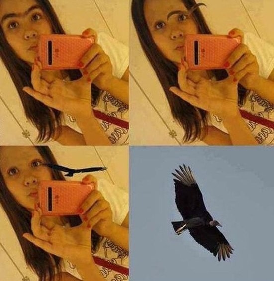 birds unibrow selfie 