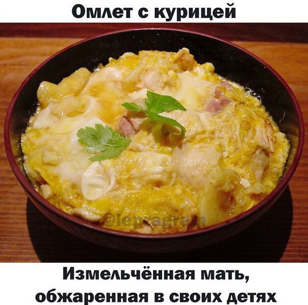 chicken omelette - shredded mother fried in her children