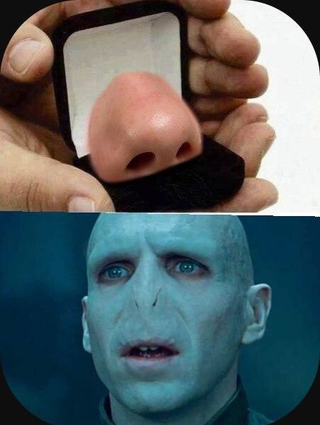 voldemort an offer of marriage nose 