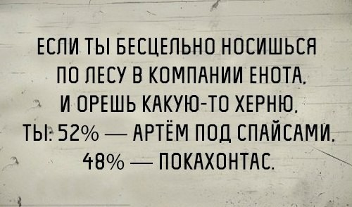 if you are running aimlessly through the forest in the company of a raccoon. and yell some nonsense. you: 52% - Artyom on spice. 48% - Pocahontas.